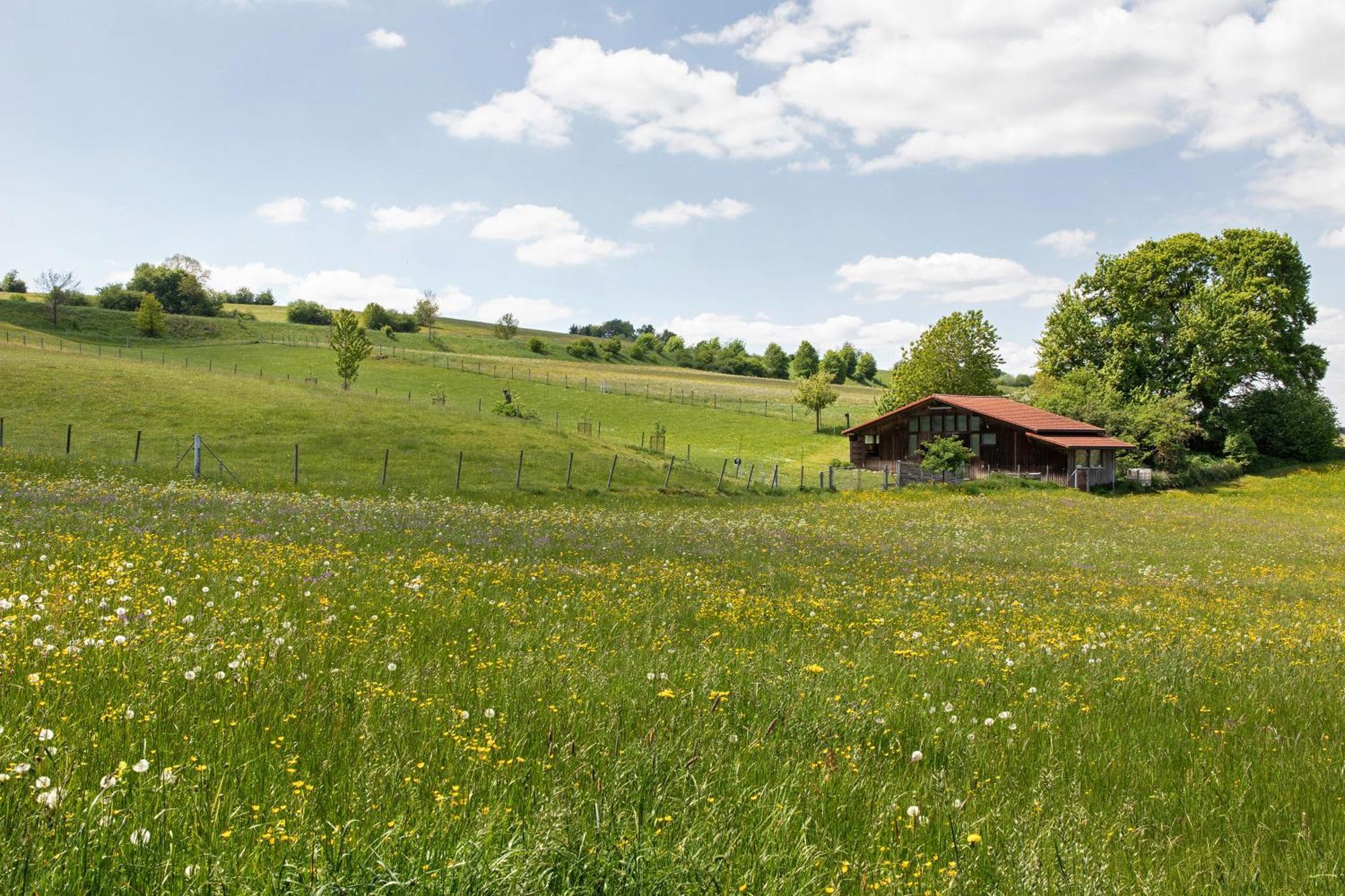 Ferienwohnung Emilia, 36Qm Münsingen エクステリア 写真